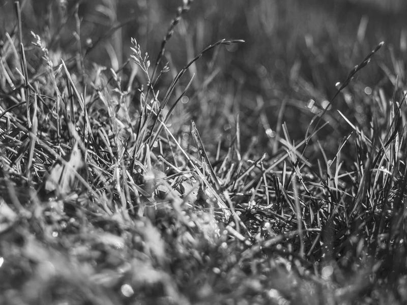 sudoku error checking screenshot 4